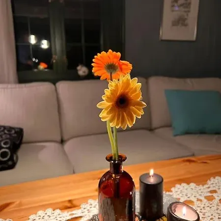 Appartamento Stabbur Med Fantastisk Utsikt! *