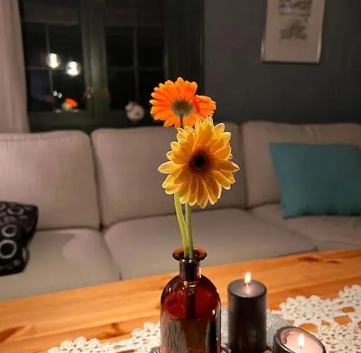 Apartamento Stabbur Med Fantastisk Utsikt! *